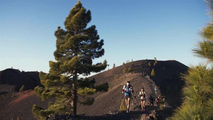 Polideportivo canario - Polideportivo Canario - 09/06/2019