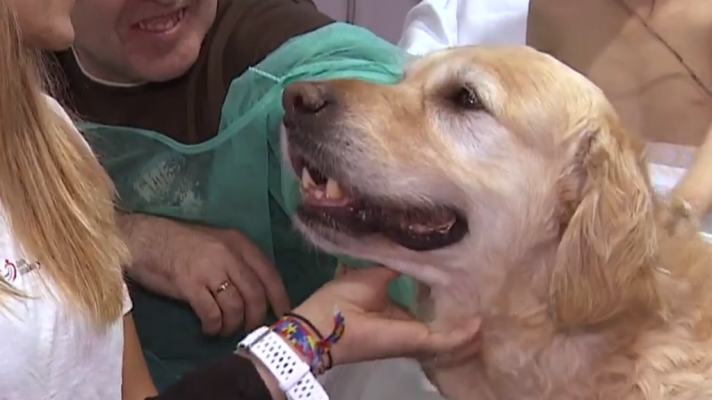 La mañana - En un mundo de perros: Cuidado con lo que comen