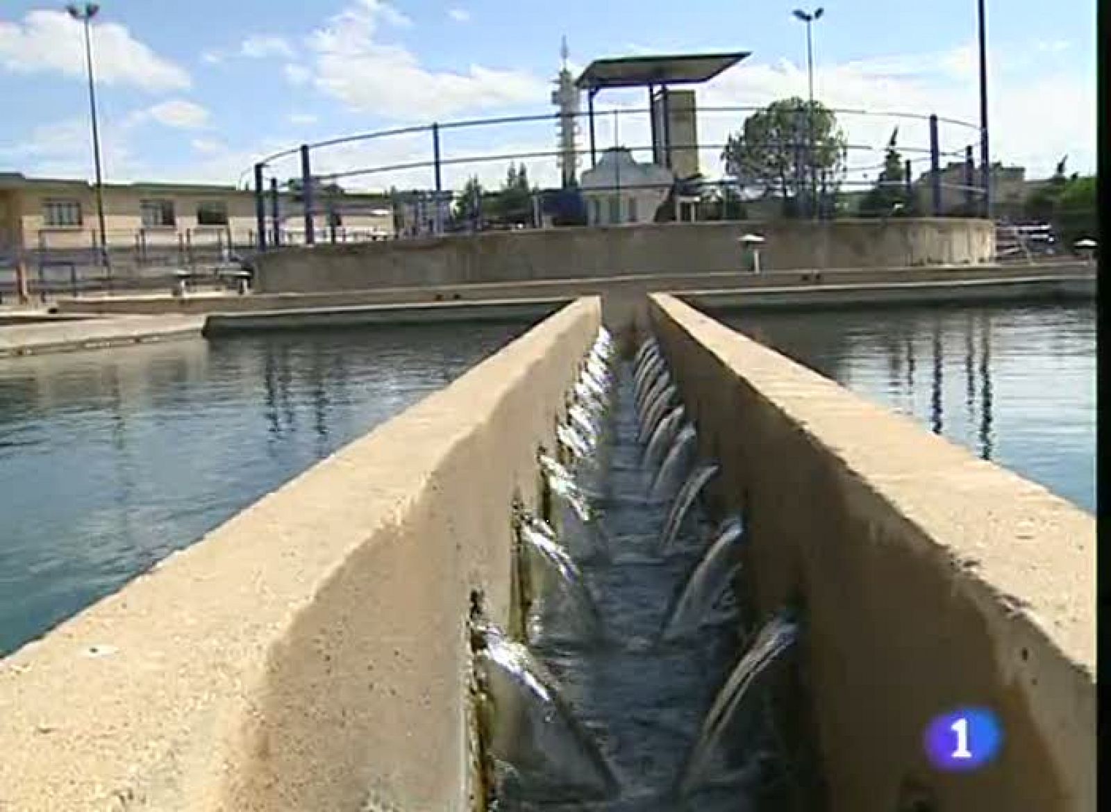 Noticias Aragón. Informativo Territorial de Aragón.(17/06/09)