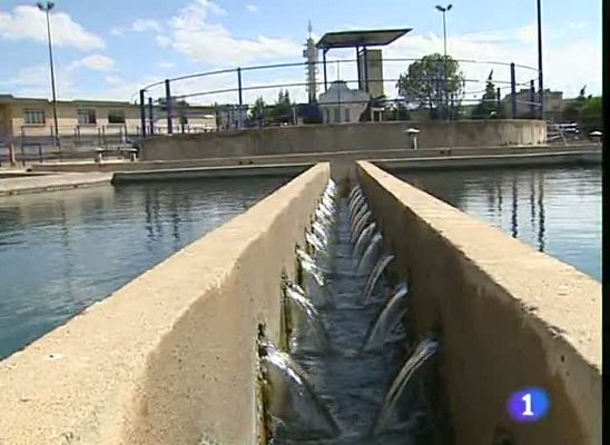 Noticias Aragón - Noticias Aragón - 17/06/09