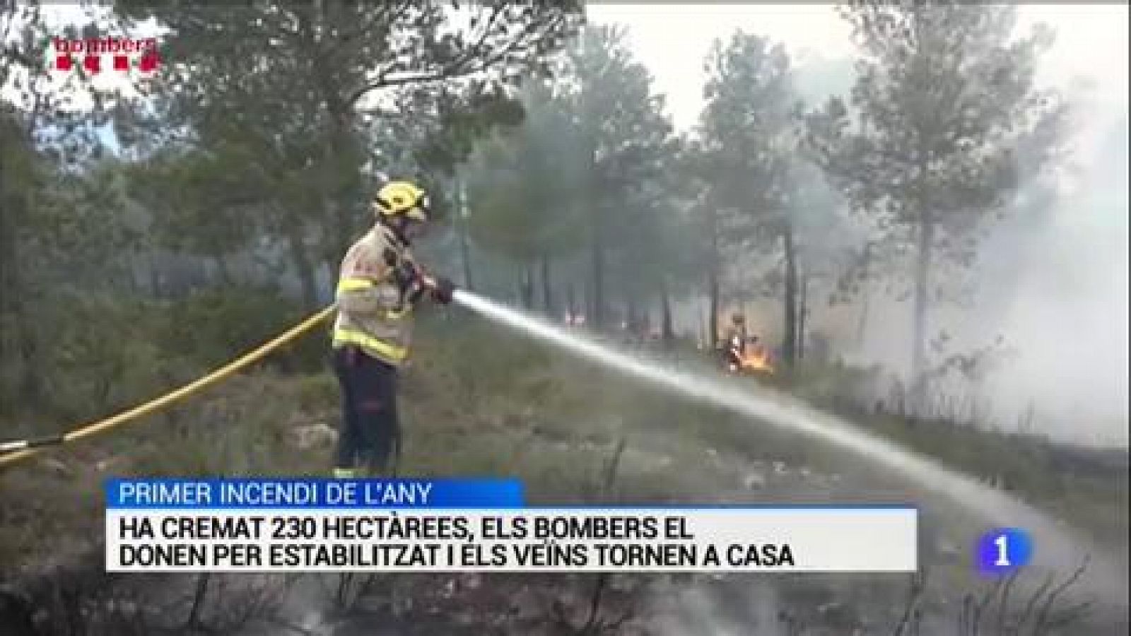 L'Informatiu en 3' - 11/06/2019