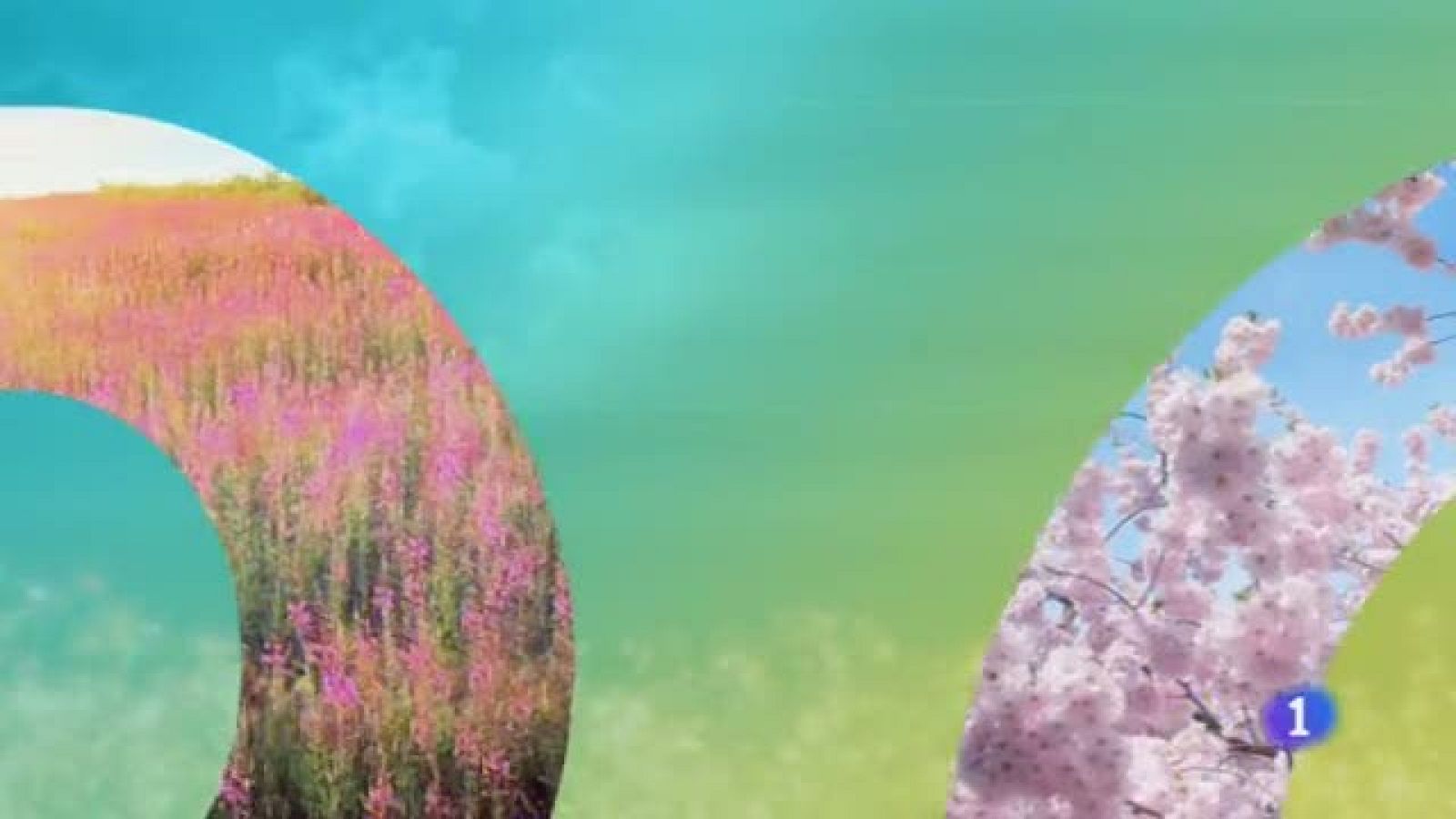 El tiempo en Castilla-La Mancha - 11/06/19 | Ver