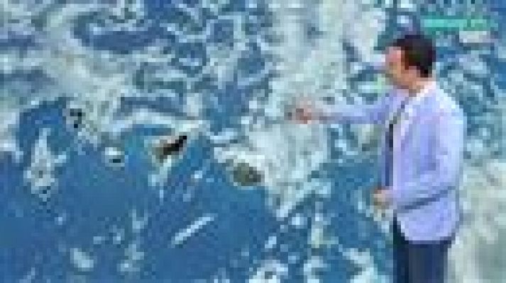 Telecanarias - El tiempo en Canarias - 11/06/2019