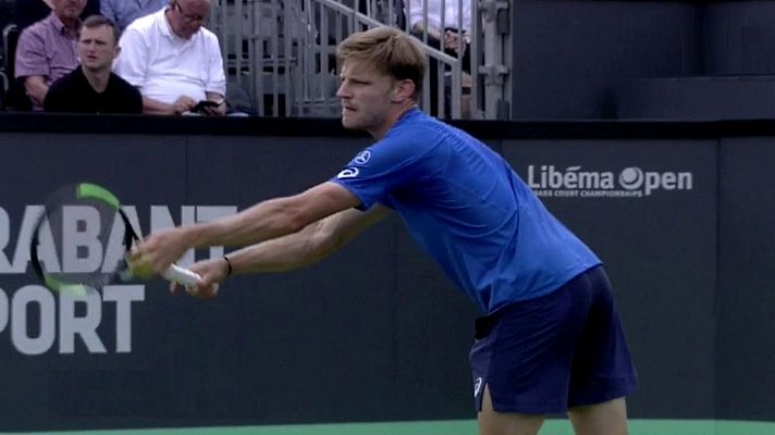 ATP 250 Torneo Hertogenbosch: D. Goffin - A. Davidovich