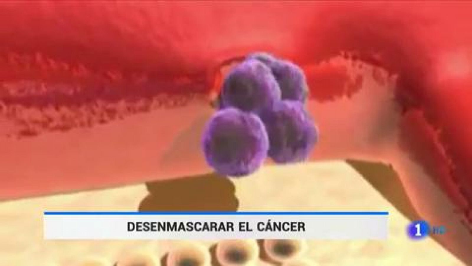 Telediario 1: Crean un nuevo fármaco oncológico que evita la metástasis y reduce los tumores | RTVE Play