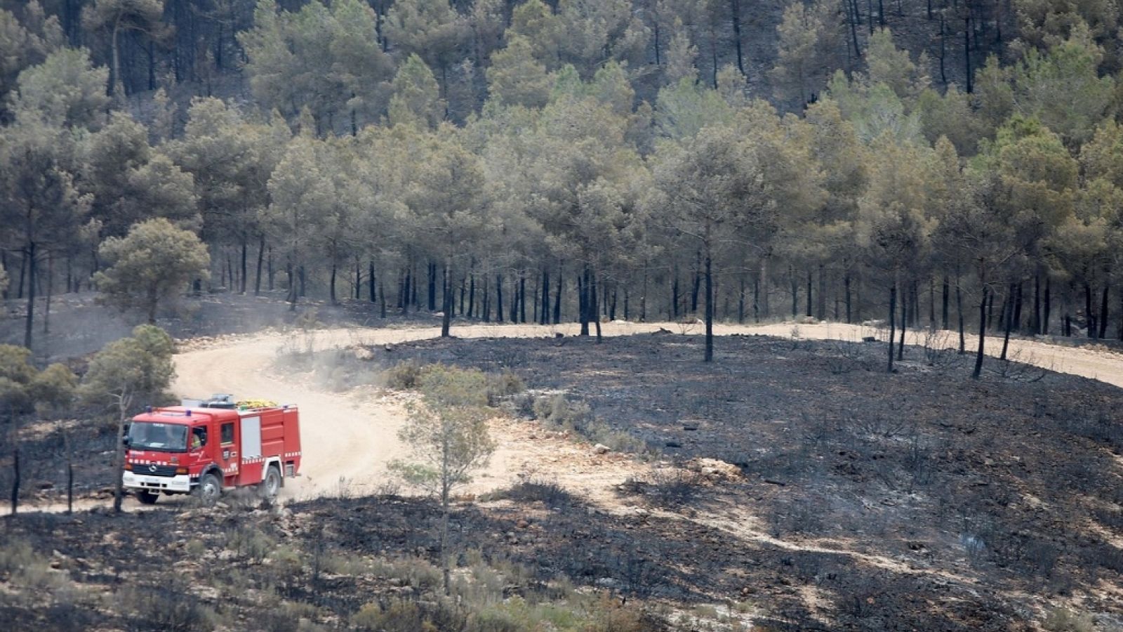 España Directo - 11/06/19 - ver ahora