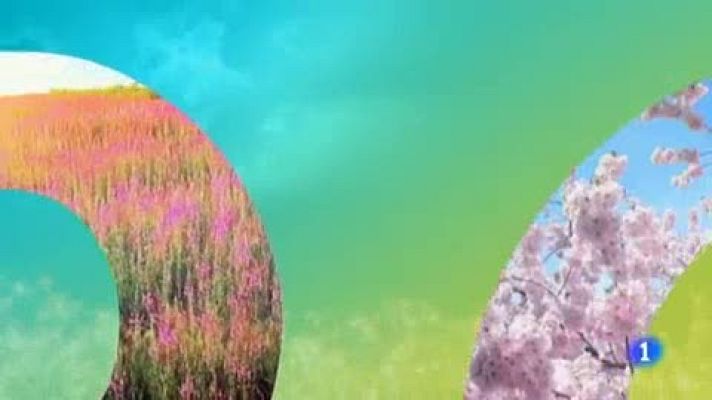 Telenorte - País Vasco - El tiempo en el País Vasco - 12/06/19