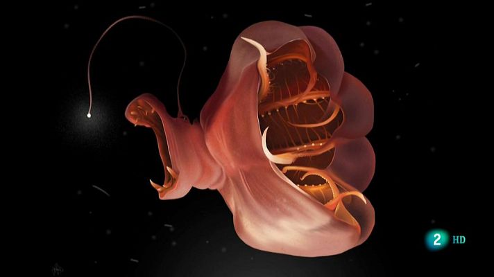 La aventura del Saber - Boek visual: Jaime Sanjuán