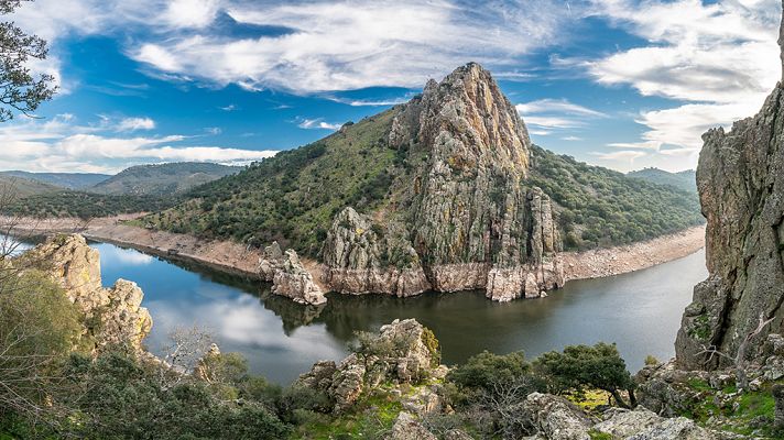 Crónicas - Algo salvaje