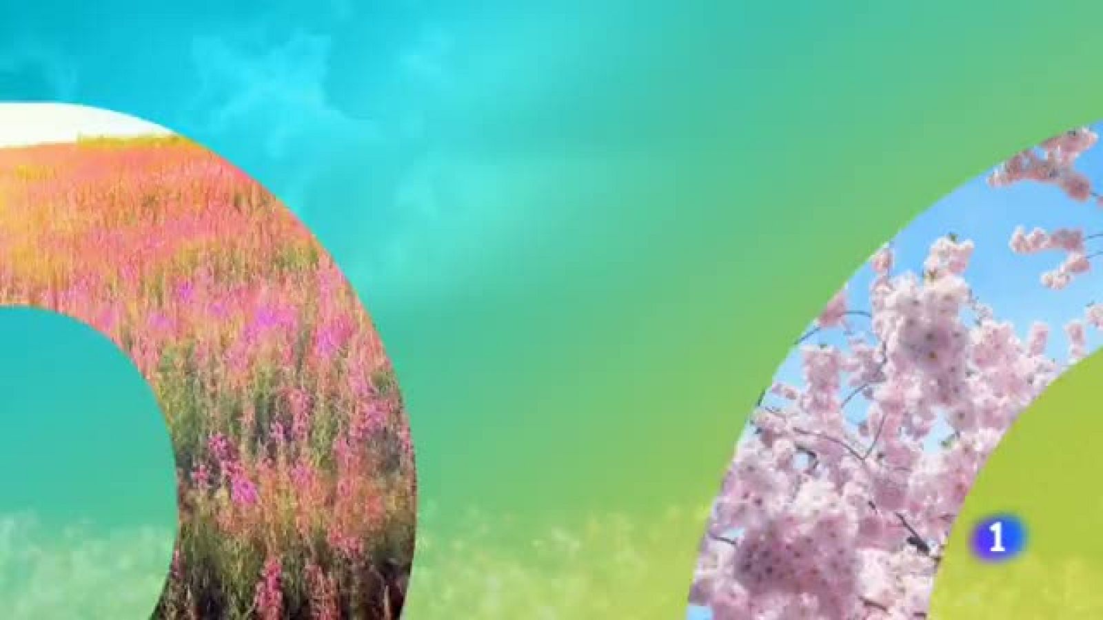 El tiempo en Aragón - 14/06/2019 | Ver