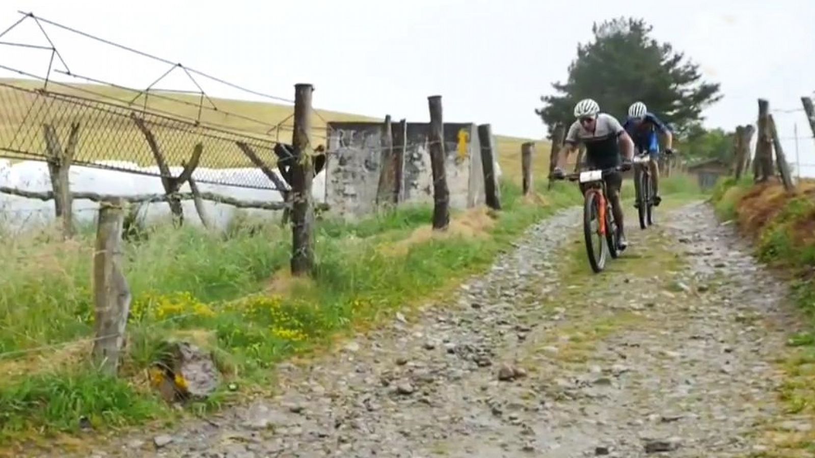 Mountain Bike - Asturias Bike Race