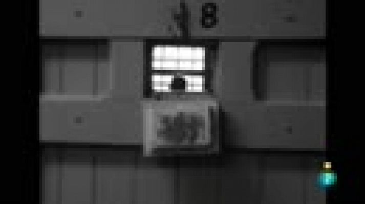 Días de cine - Entrevistamos al aclamado documentalista Frederick Wiseman