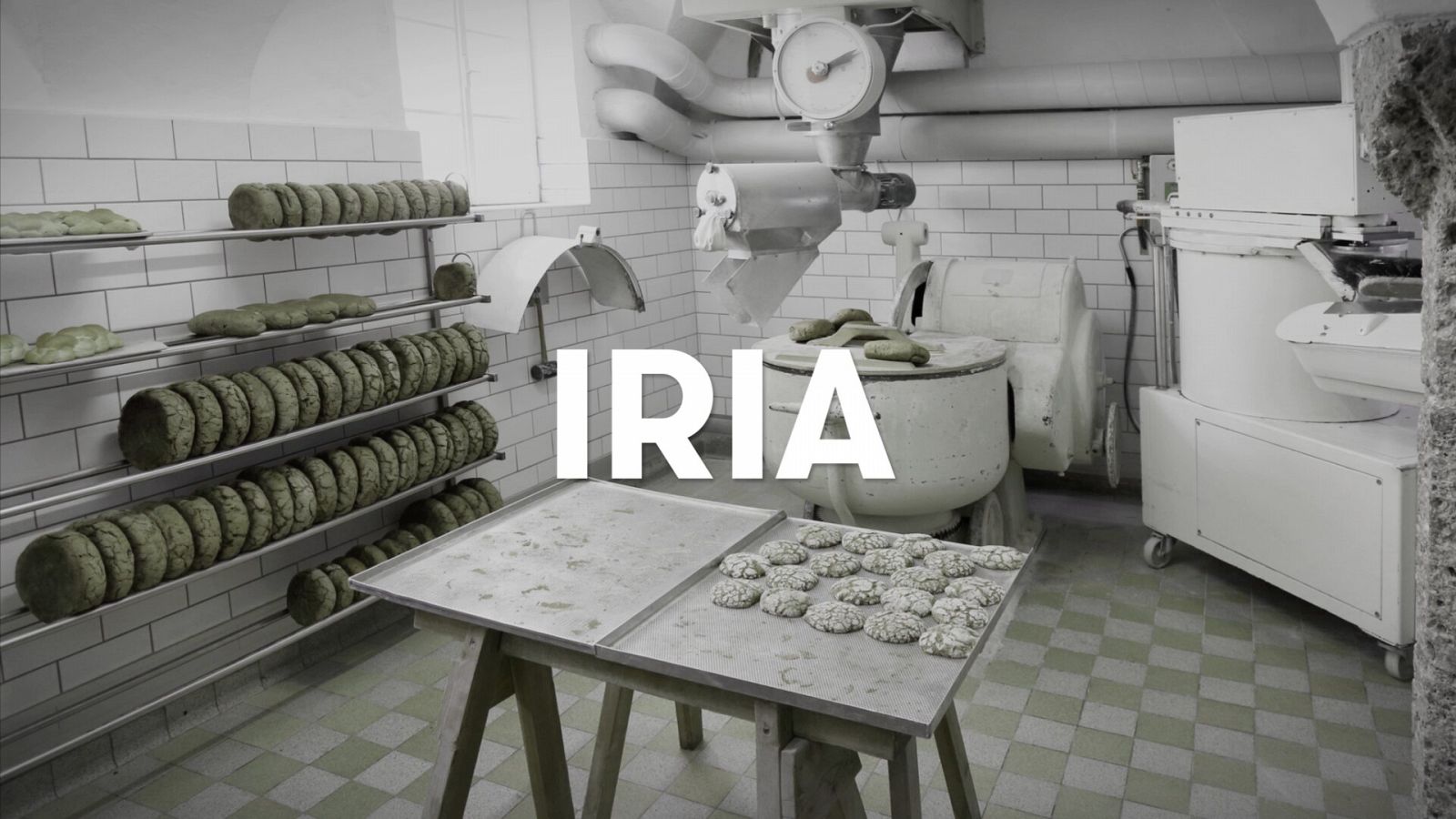 Un retrato a la vida de las 1000 mujeres asesinadas por violencia de género