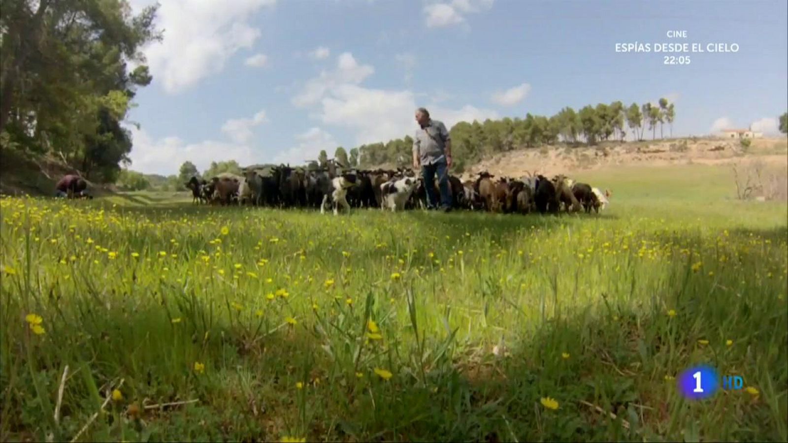 Aquí la Tierra: Pastor y bombero, todo en uno | RTVE Play