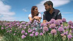 Aquí la tierra - Curiosas flores comestibles
