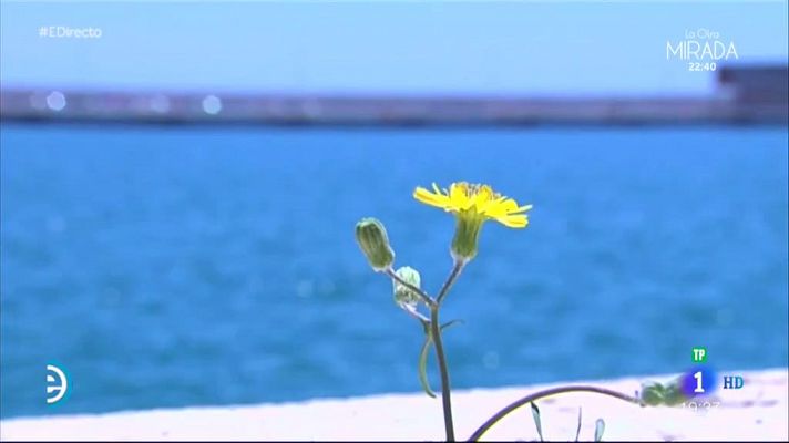 Visita al Puerto de Alicante