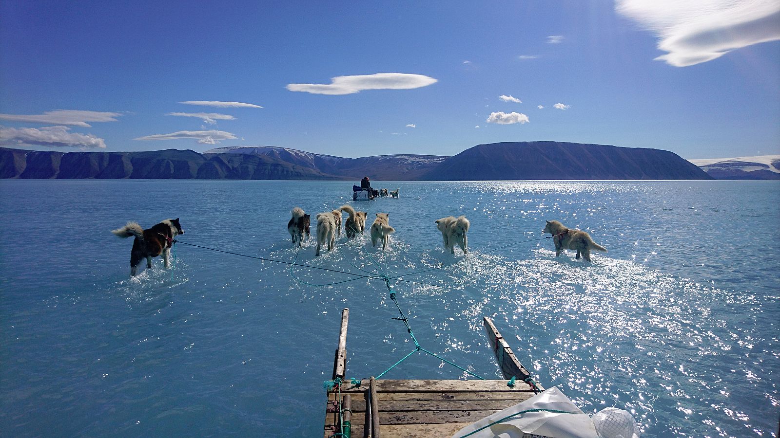 Telediario 1: La foto que describe el zarpazo del cambio climático en Groenlandia  | RTVE Play