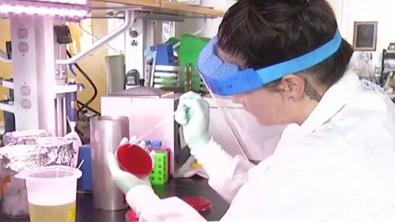 España, el tercer país de la UE con mayor número de intoxicaciones por listeria 