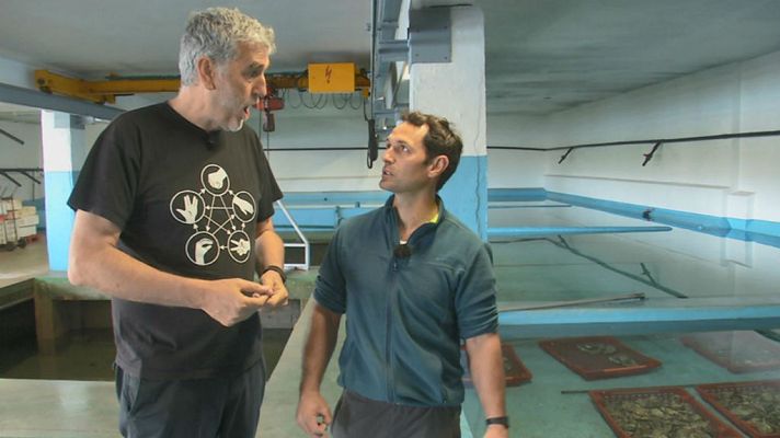 Aquí la Tierra - Entre ostras y langostas