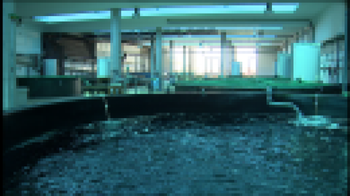 Telecanarias - Telecanarias 2 - 17/06/2017