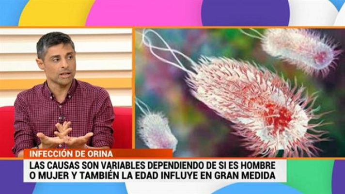 Cerca de ti - Cerca de ti - 19/06/2019