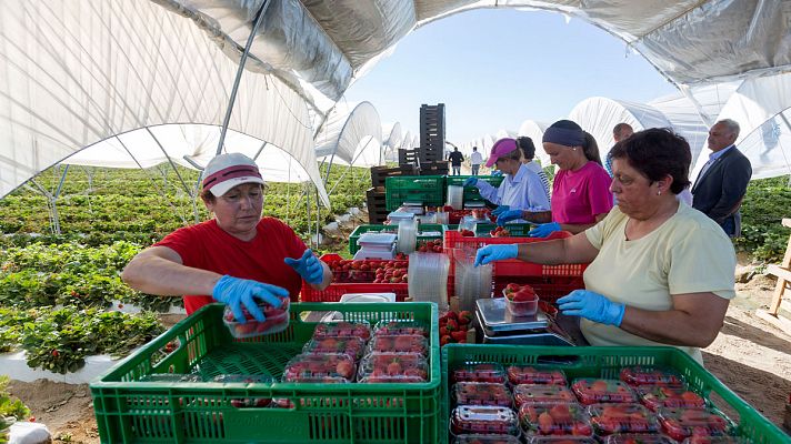 Telediario 1 - La Seguridad Social suma 68.749 afiliados extranjeros en mayo y marca su máximo histórico