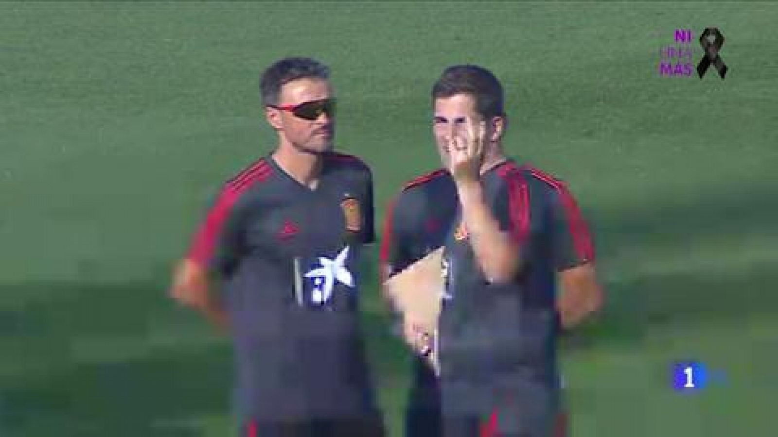 Luis Enrique deja la selección y Robert Moreno se pone al frente del equipo -RTVE.es | Ver