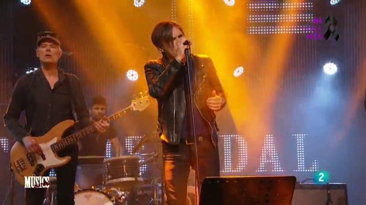 Músics - Stinusvidal