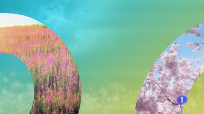 Noticias de Castilla-La Mancha - El Tiempo en Castilla-La Mancha - 21/06/19