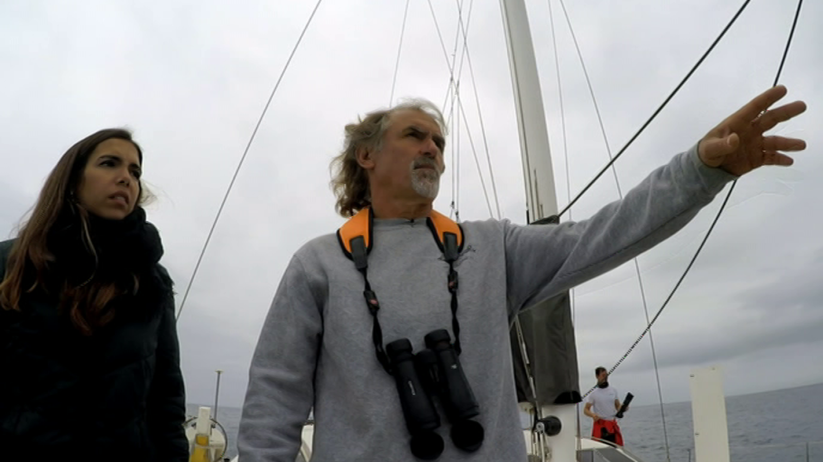 El escarabajo verde - Mar de impactos - ver ahora