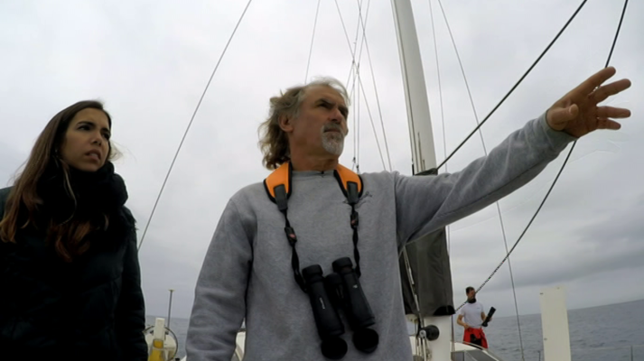 El escarabajo verde - Mar de impactos