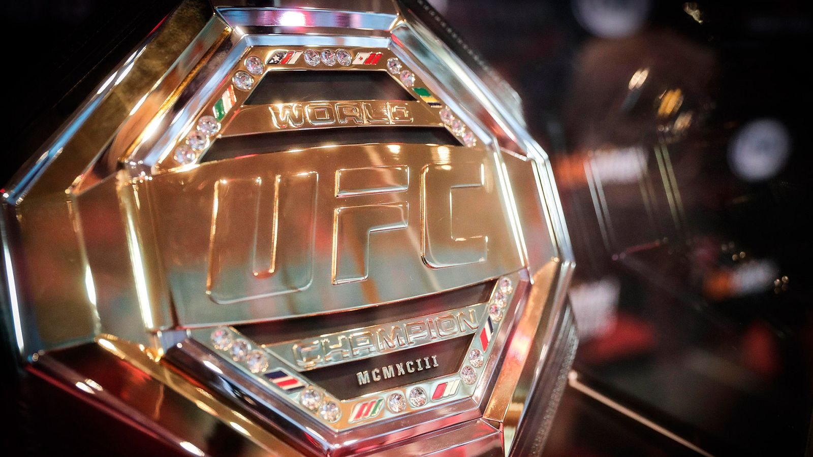 Las artes marciales mixtas o MMA son cada vez más populares en los gimnasios españoles, donde se pueden encontrar cientos de aficionados a este deporte.