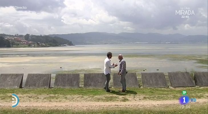 España Directo - Bandera negra en la Ría de Pontevedra