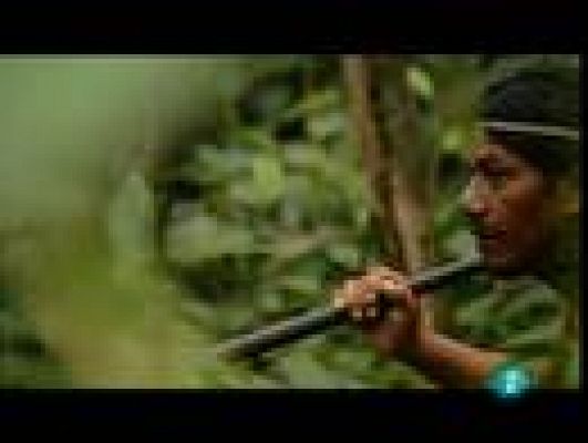 En portada - La lanza y el jaguar