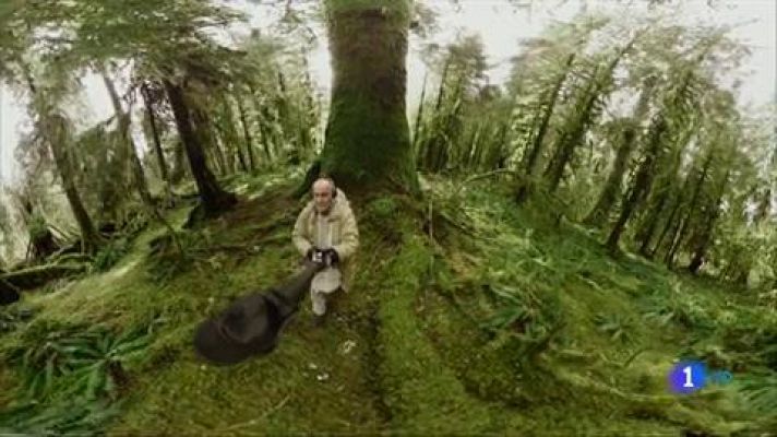 Telediario 1 - Arranca en Madrid la primera edición de "XR Fest", un festival de artes inmersivas