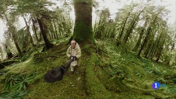 Telediario 1 - Arranca en Madrid la primera edición de "XR Fest", un festival de artes inmersivas