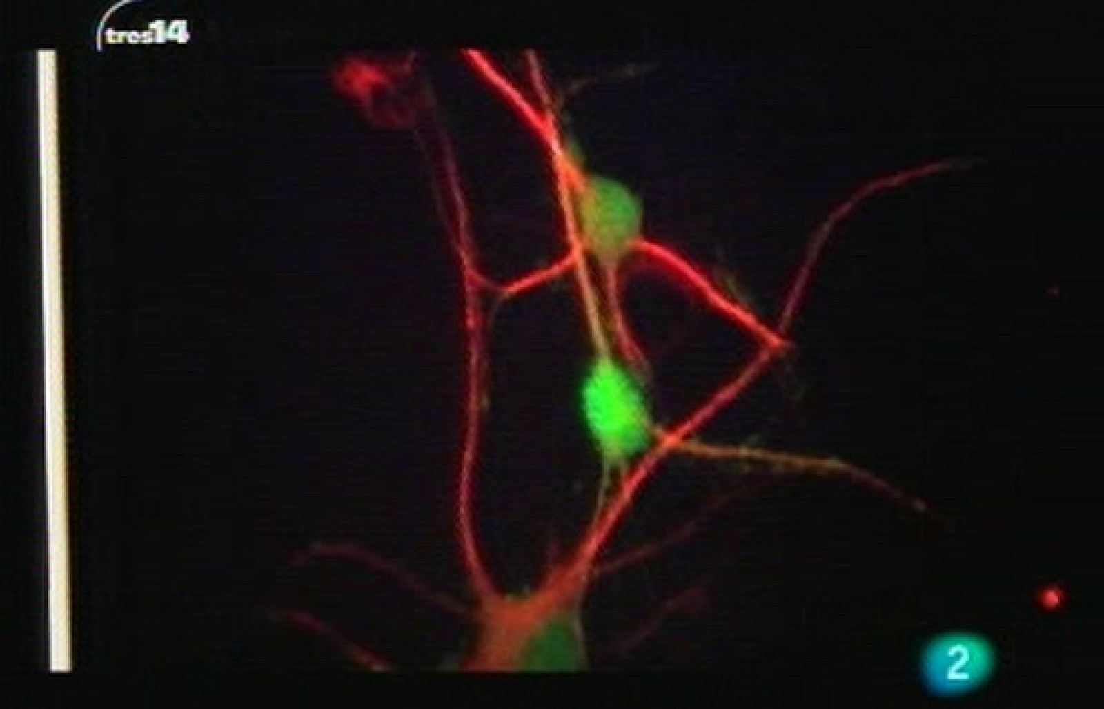 Matemáticas y epidemias (virus)