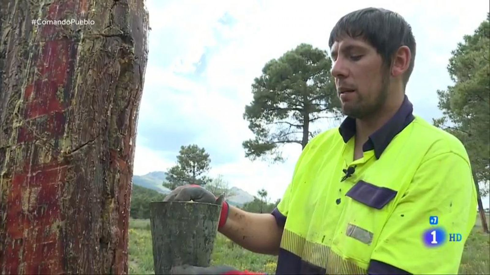 Comando Actualidad - Pueblos vivos - Riqueza el bosque