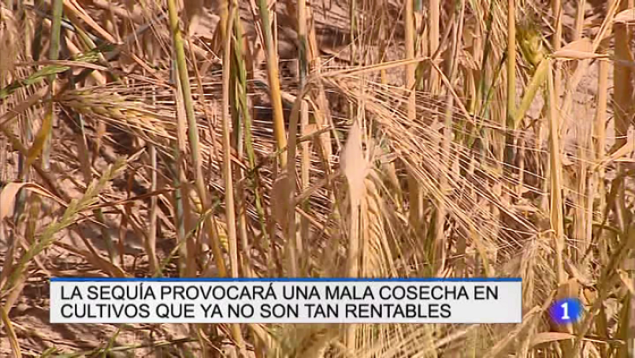 Informativo Telerioja - Informativo Telerioja - 26/06/19