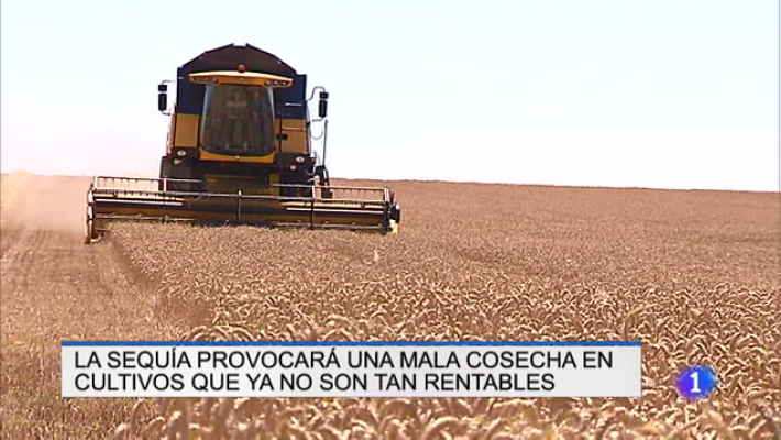 Informativo Telerioja - Informativo Telerioja 2 - 26/06/19