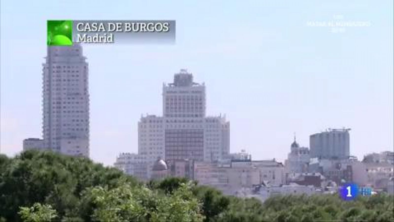 Aquí la tierra - La yuca, un ingrediente que llegó para quedarse