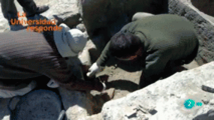 La aventura del Saber - ¿Cómo se consigue en arqueología tanta información?