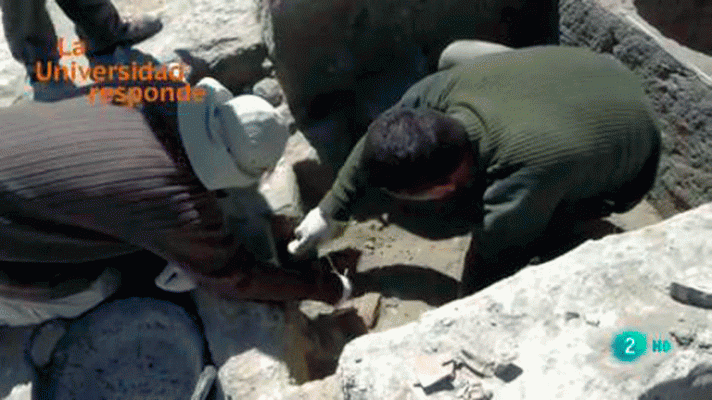 La aventura del Saber - ¿Cómo se consigue en arqueología tanta información?