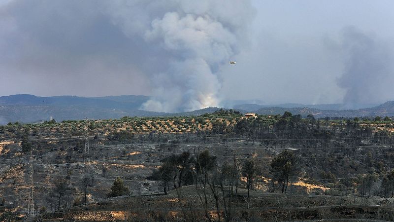 Los bomberos alertan de la "situación muy crítica" del incendio de Tarragona, que ha arrasado ya 5.500 hectáreas