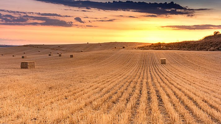 Temperaturas significativamente altas en casi toda la península y Baleares 