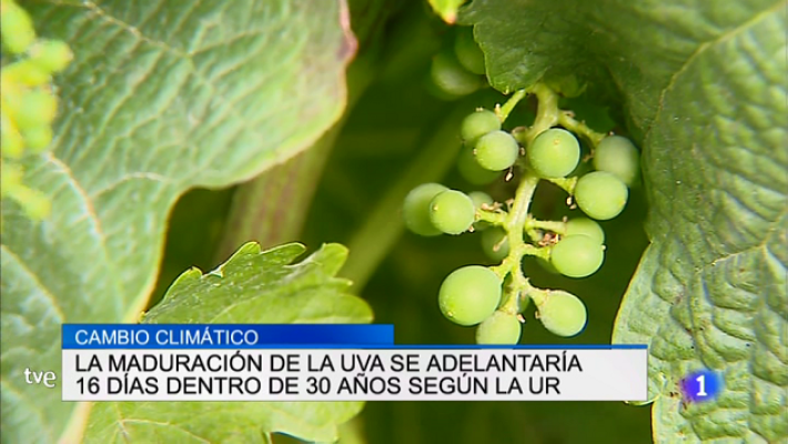 Informativo Telerioja - Informativo Telerioja 2 - 27/06/19