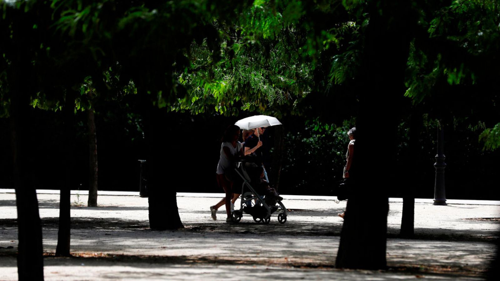 El tiempo: Persiste el calor extremo, con máximas de 42 grados en el noreste | RTVE Play