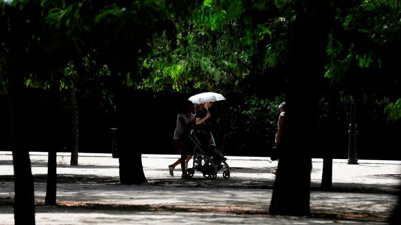 Persiste el calor extremo, con máximas de 42 grados en el noreste - ver ahora 