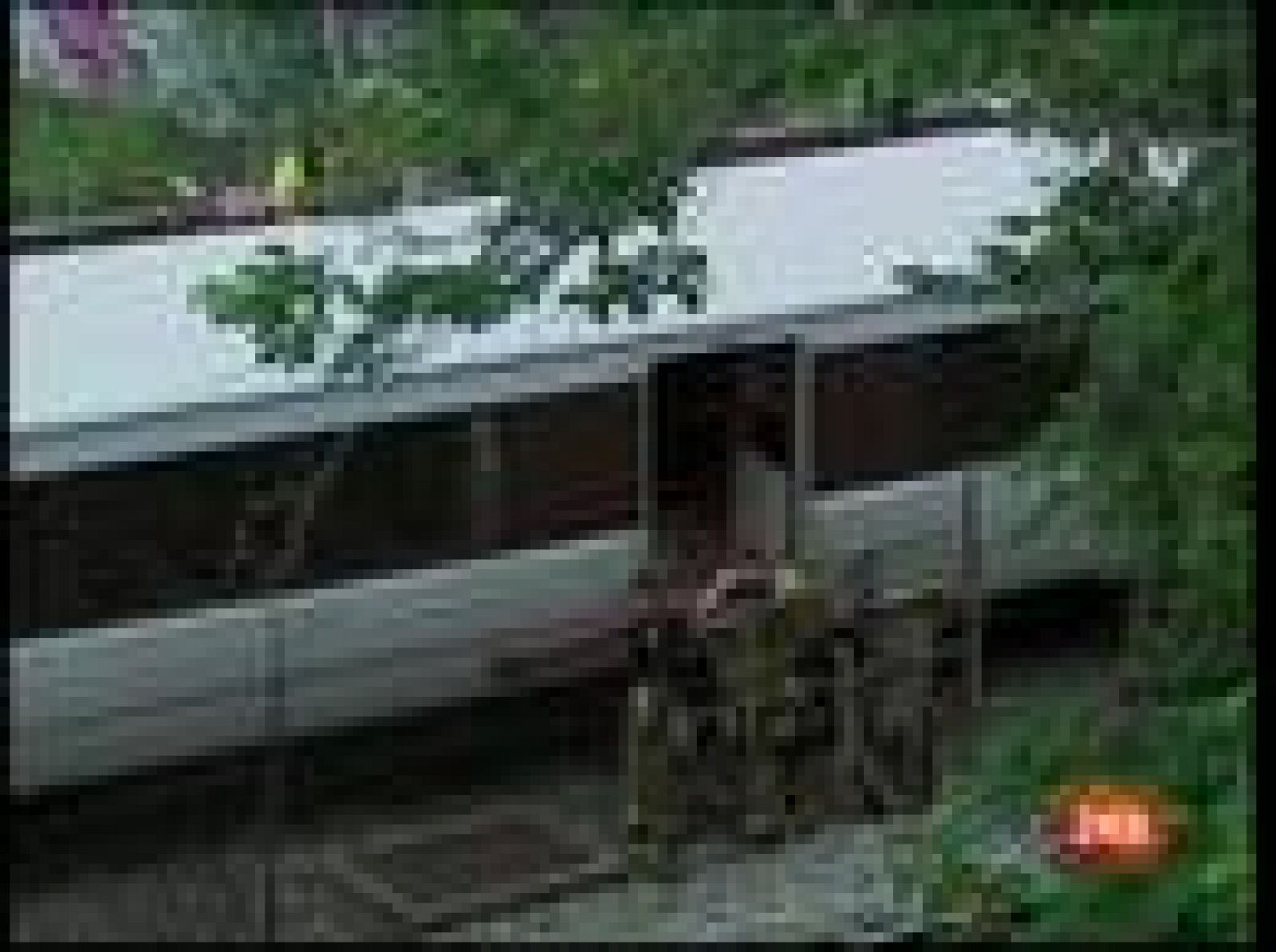 Accidente mortal en el metro de Washington | Ver