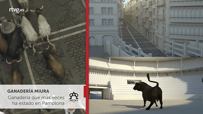 San Fermín - Los toros de los Sanfermines